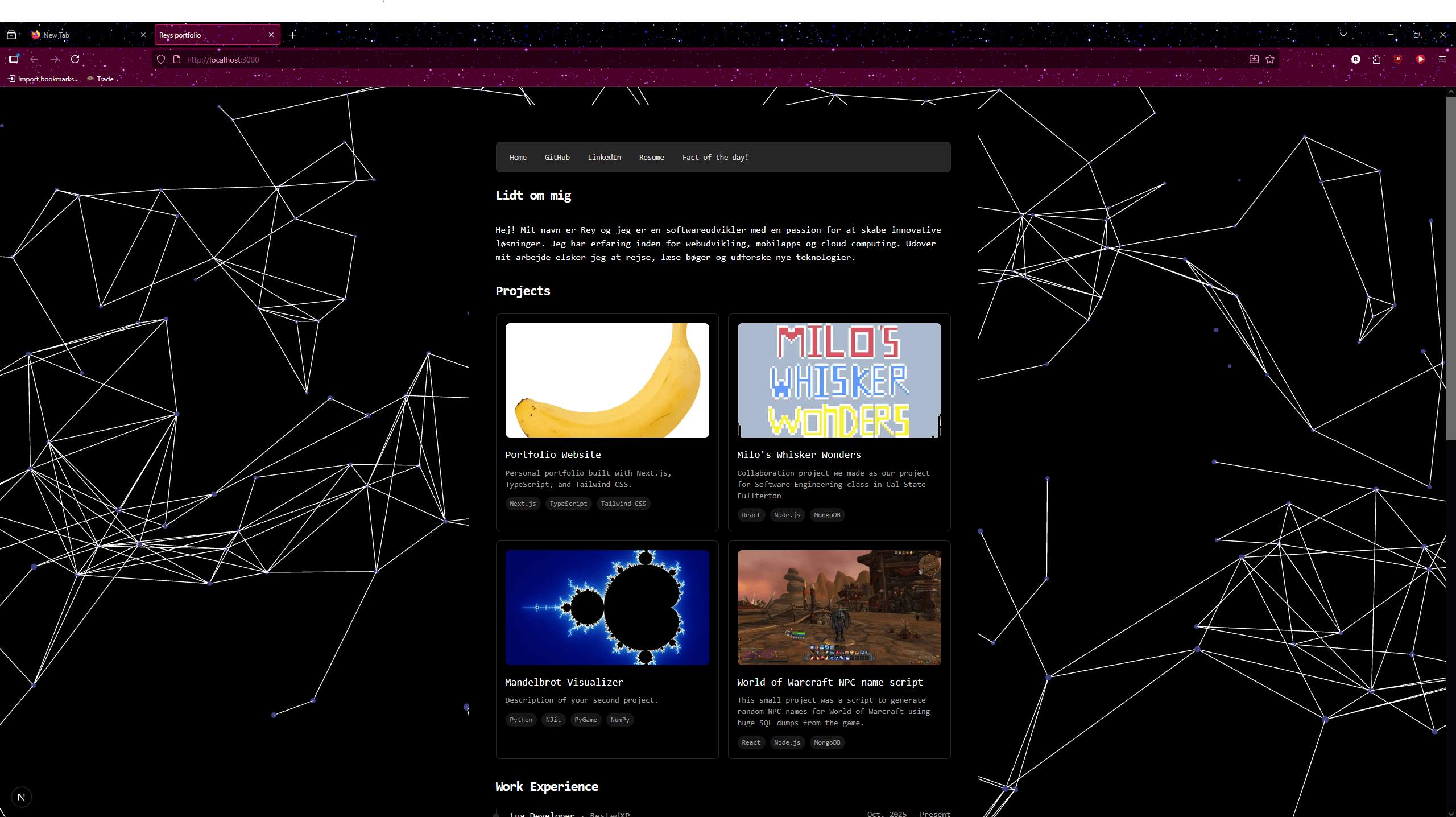 Portfolio Hjemmeside